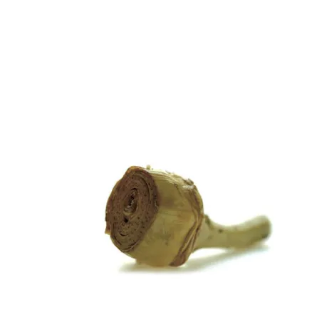 Carciofi con Gambo "Agnoni" 1700ml