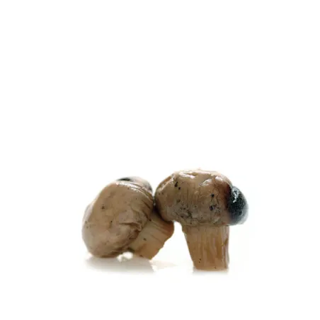 Funghi Arrostiti "Agnoni" 1700ml