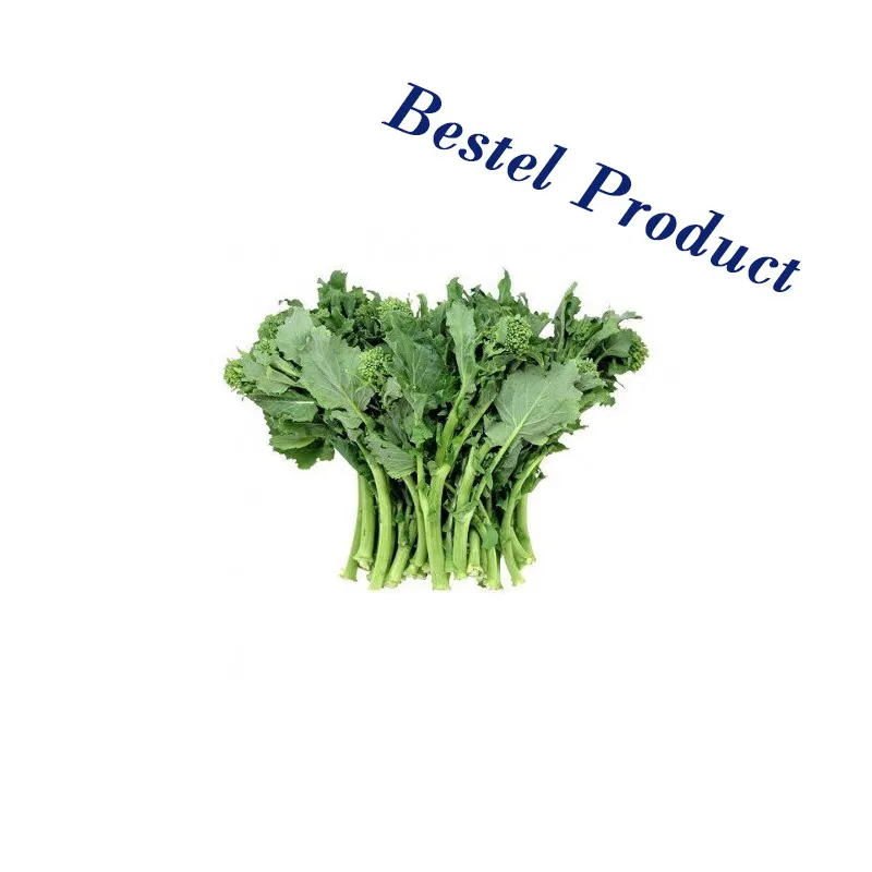 Cime di Rapa 7 kg / Raapstelen