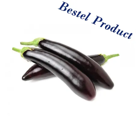 Melanzane Lunghe Napoletane / Lange Aubergines