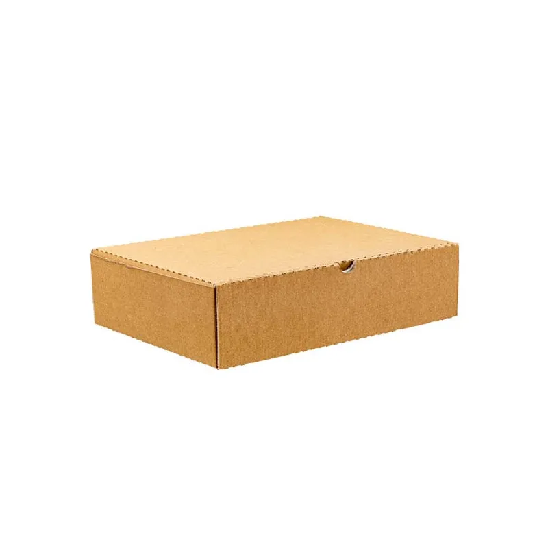 Cartoni per Calzone 100 X 30x16x10