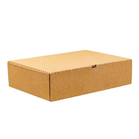 Cartoni per Calzone 100 X 30x16x10