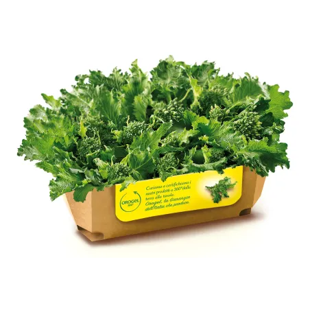 Cime Di Rapa Orogel 1 kg