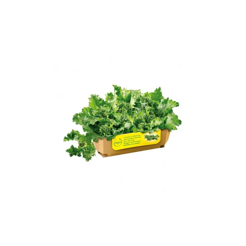 Friarielli Cubetti Orogel 1 kg