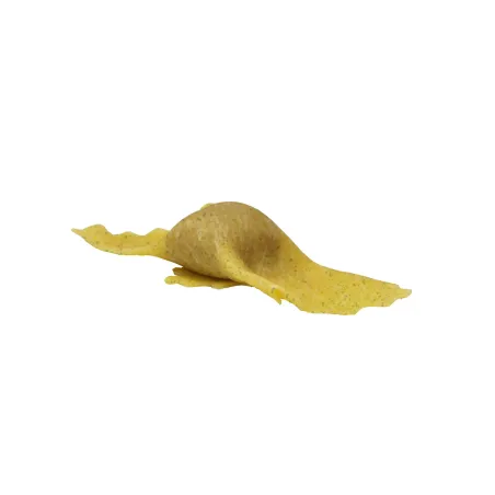 Tortello Erba Cipollina 1 Kg