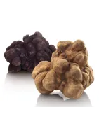 Truffel producten