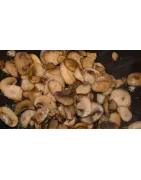 Paddestoelen producten