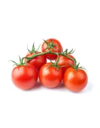Tomaten