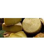 Schapenkazen