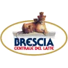 Azzocchi Roberto
